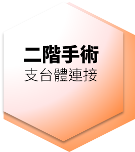 二階手術