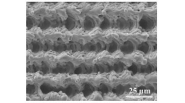 25微米下的雷射植體
