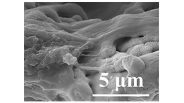 5微米雷射植體表面
