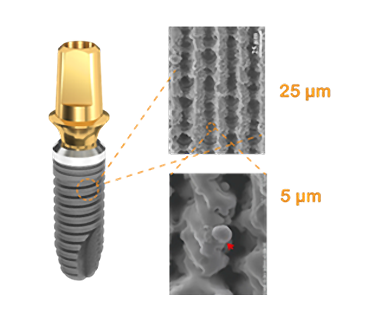 Biomate植體具有微米通道及微奈米結構